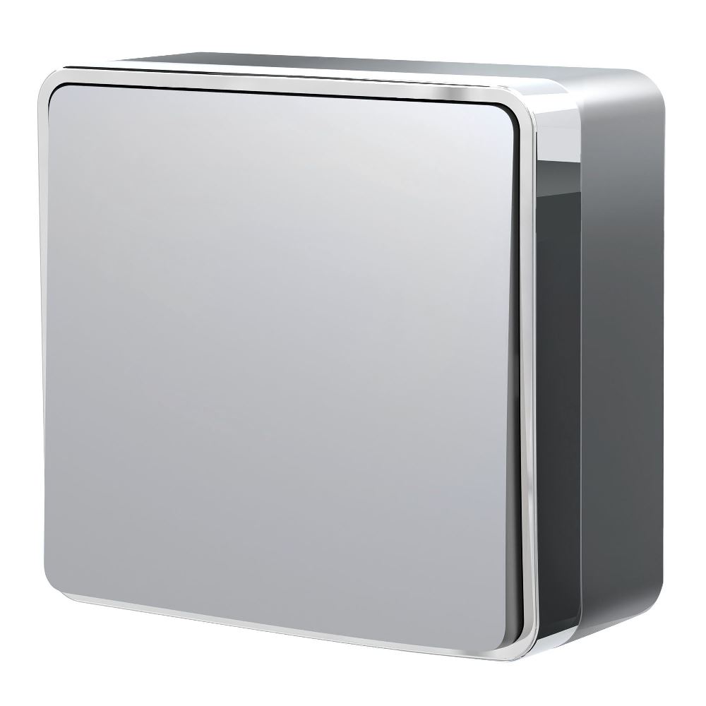 Выключатель одноклавишный накладной Werkel Gallant Cеребряный W5010006