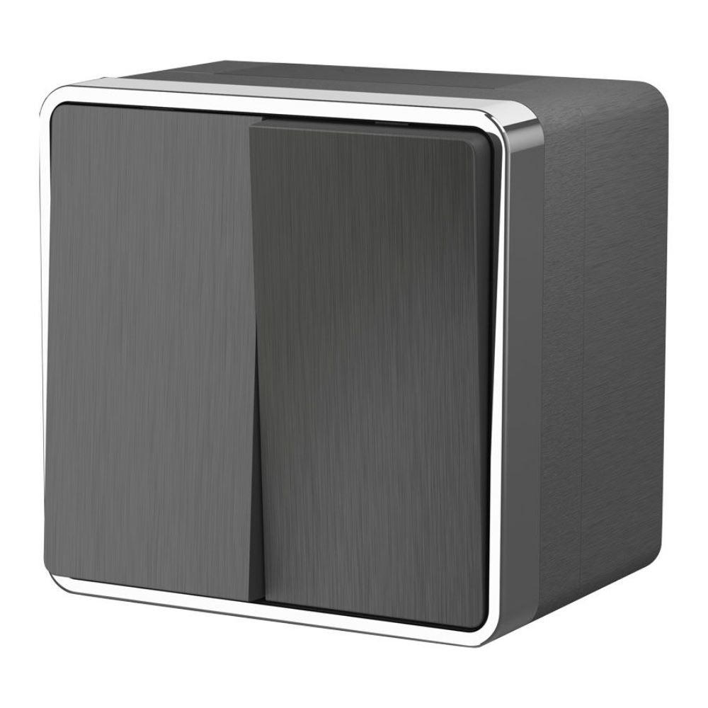 Выключатель двухклавишный накладной влагозащищенный Werkel Gallant Графит W5020204