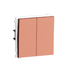 Выключатель двухклавишный встраиваемый Donel R98 Коралл матовый DA10500-DA29545