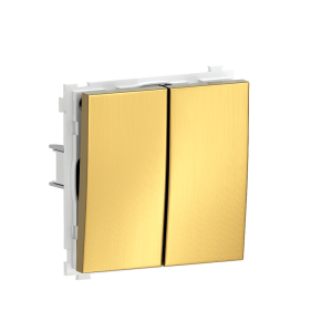 Выключатель двухклавишный встраиваемый Donel R98 Metal Золото матовое DA10500-DA295BR