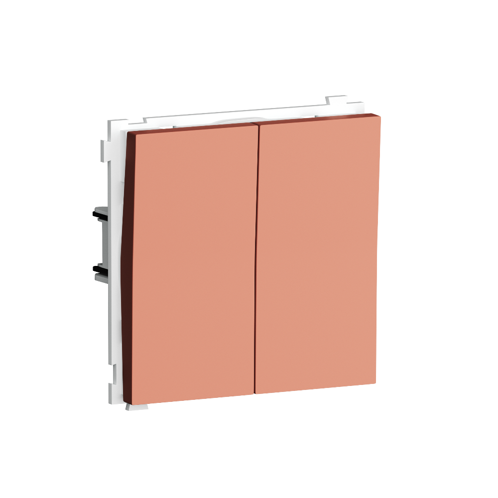 Выключатель двухклавишный встраиваемый Donel R98 звонкового типа Коралл матовый DA25100-DA29545
