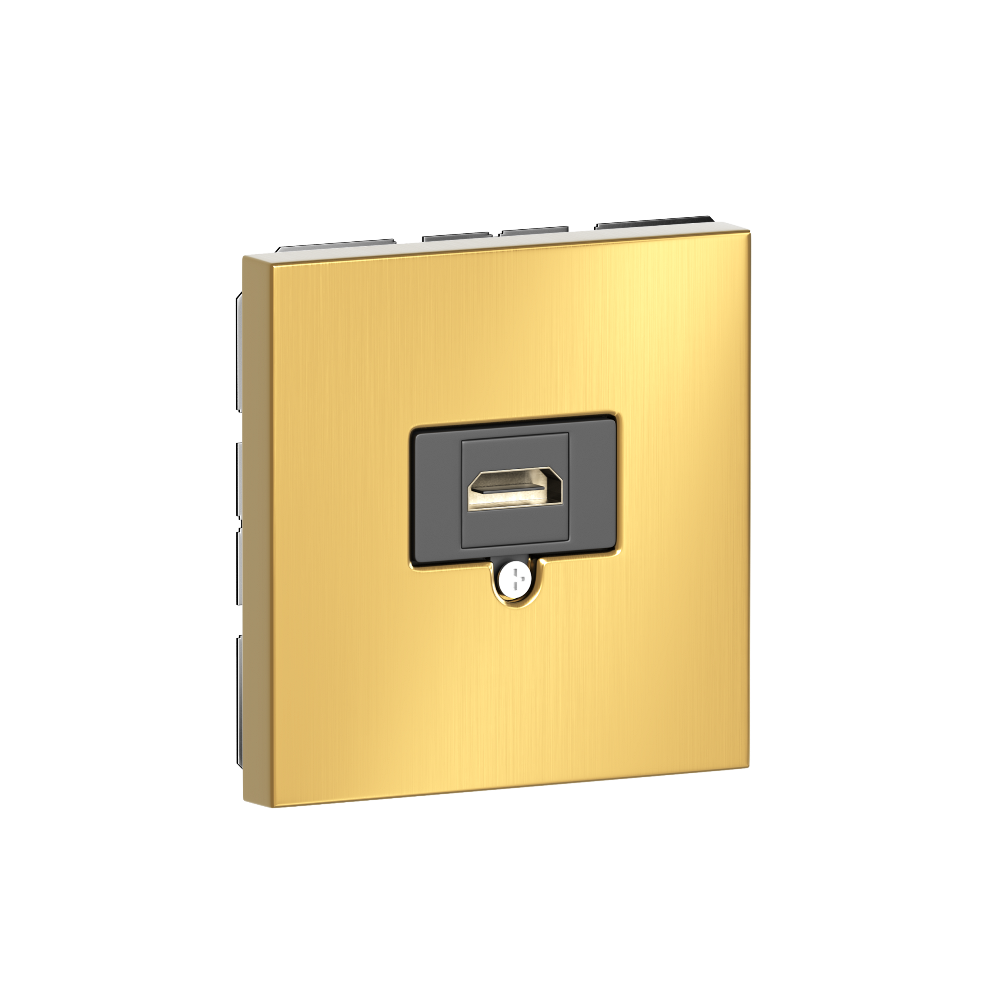 Розетка встраиваемая HDMI Donel R98 Metal 2.0a Золото матовое STRS20A-DA276BR